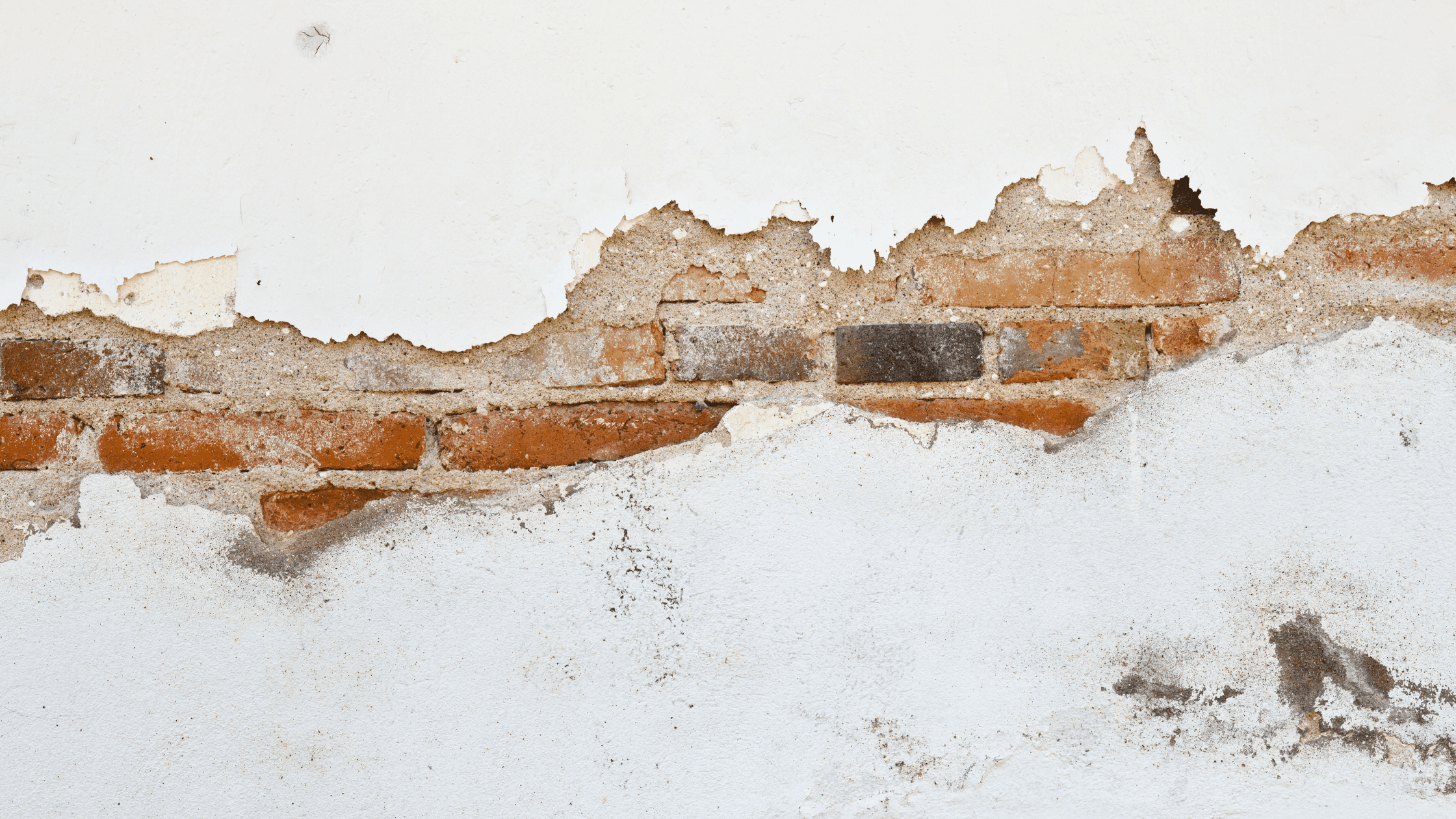 Kickstarting your new trades business